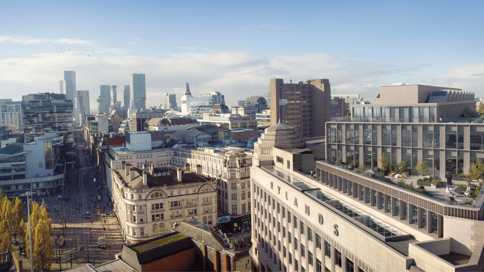 Rylands Aerial Shot 2